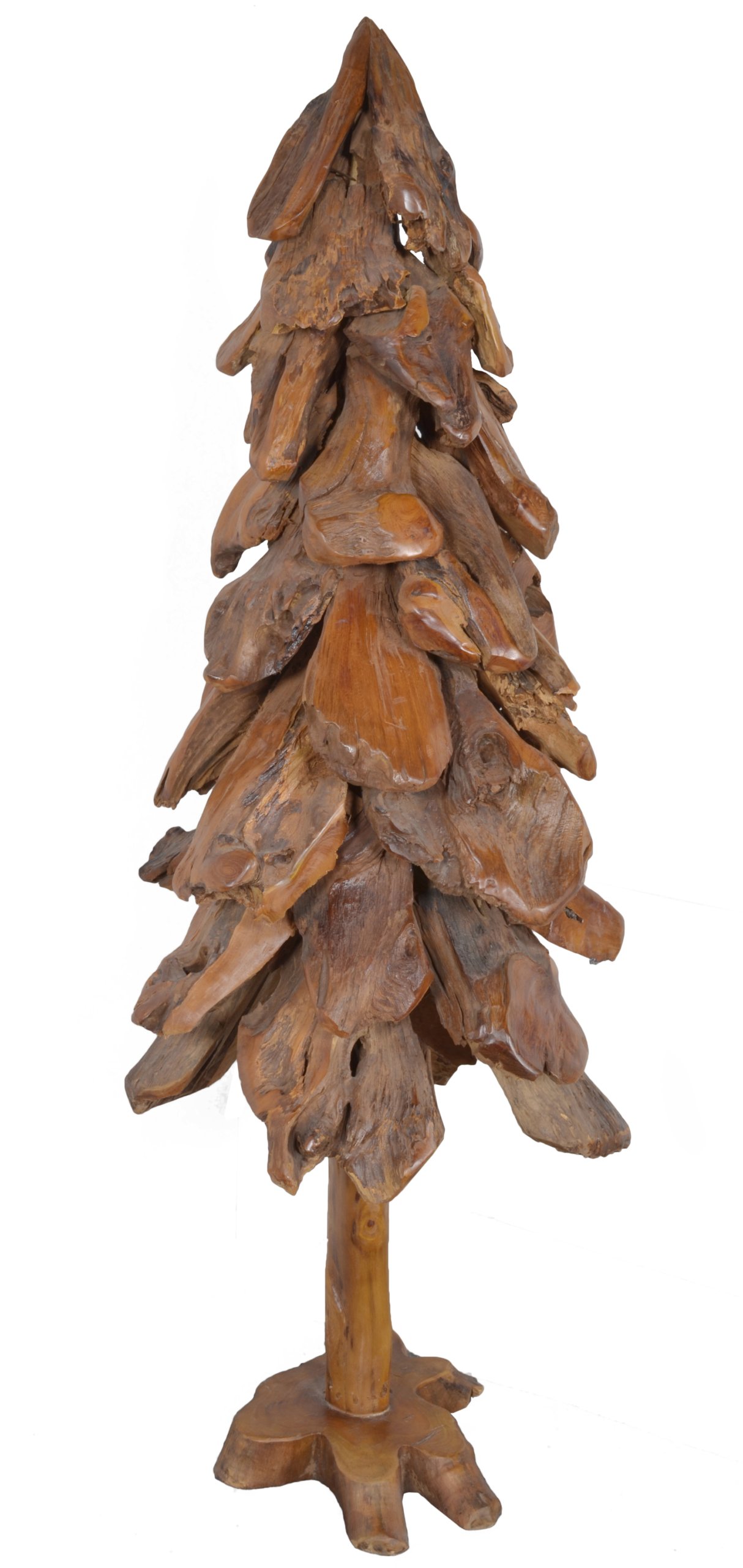 Teak Tree 2M - Image 5