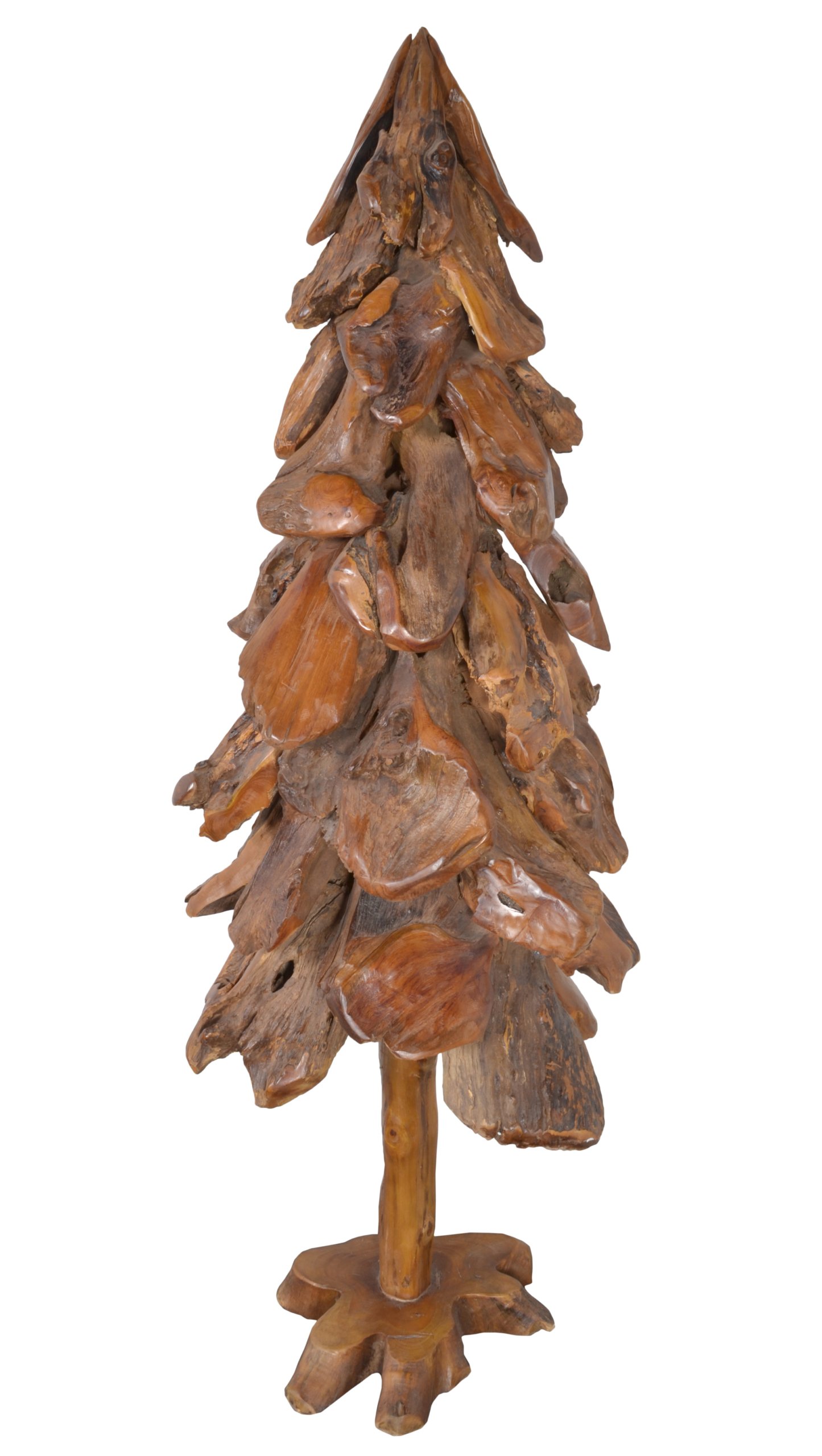 Teak Tree 2M - Image 7