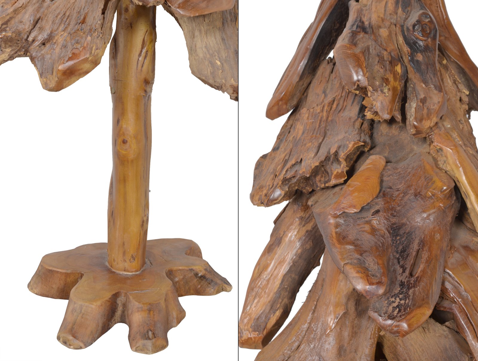 Teak Tree 2M - Image 8