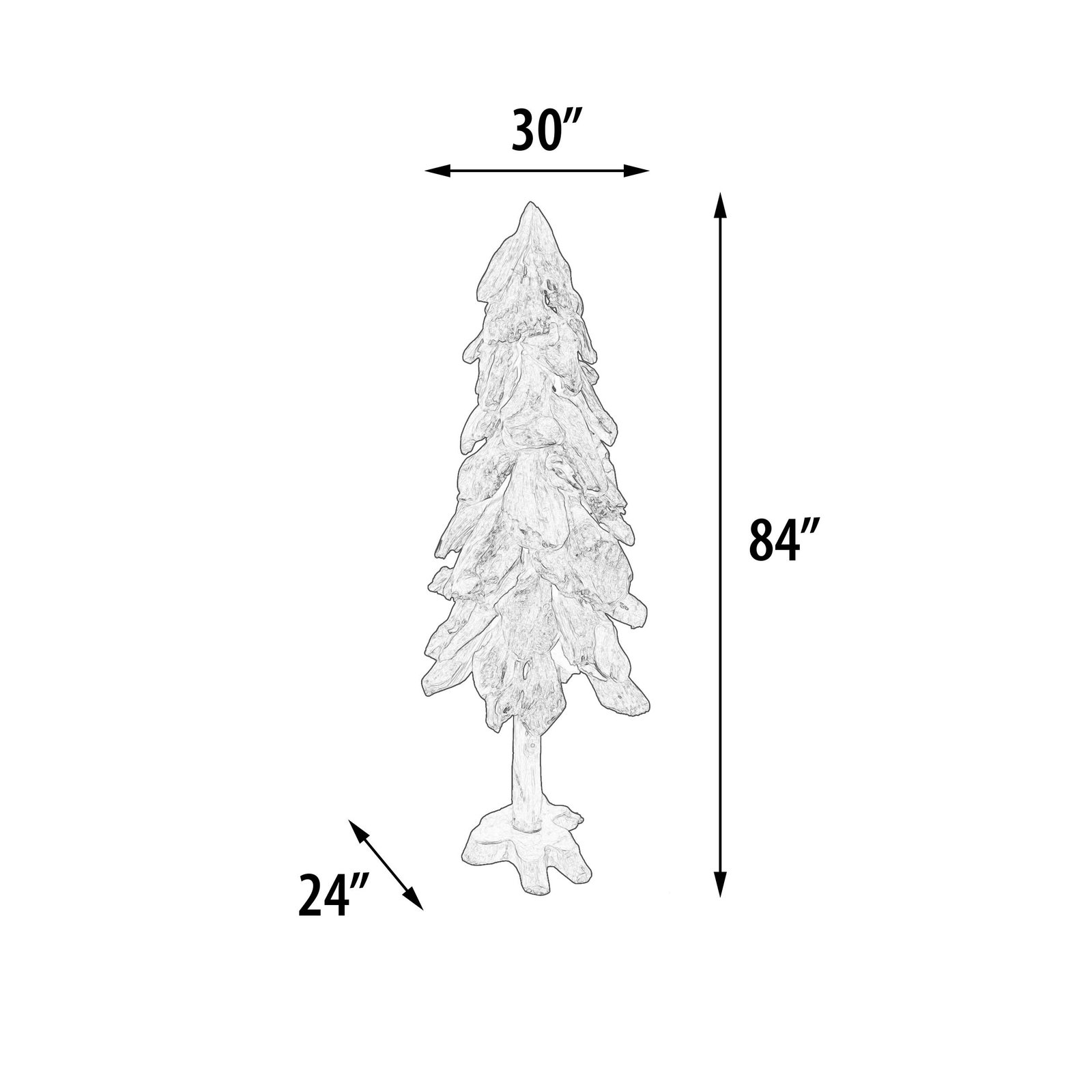 Teak Tree 2M - Image 9