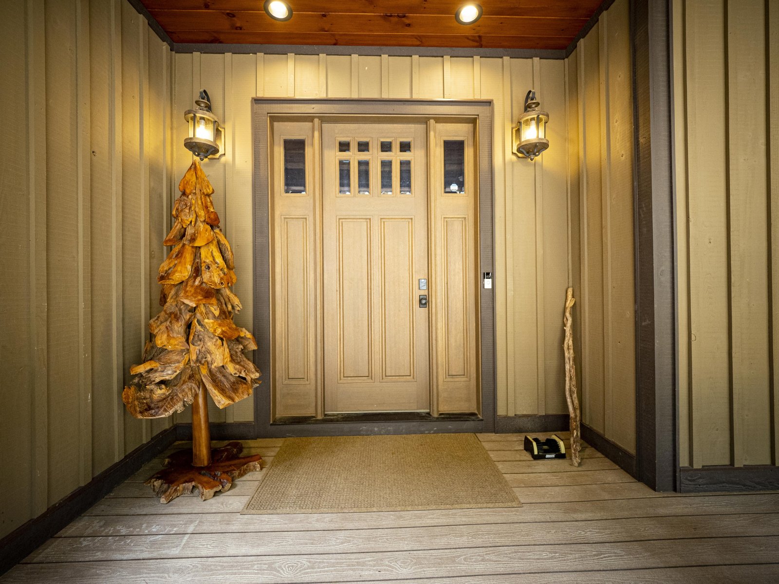 Teak Tree 2M