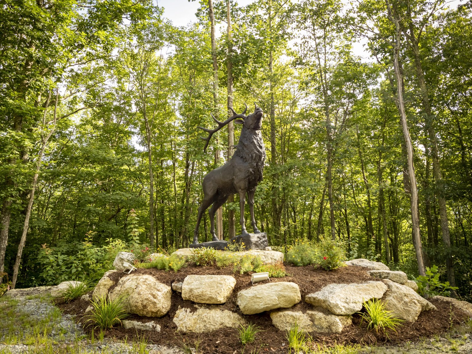 Deer on Base - Image 7