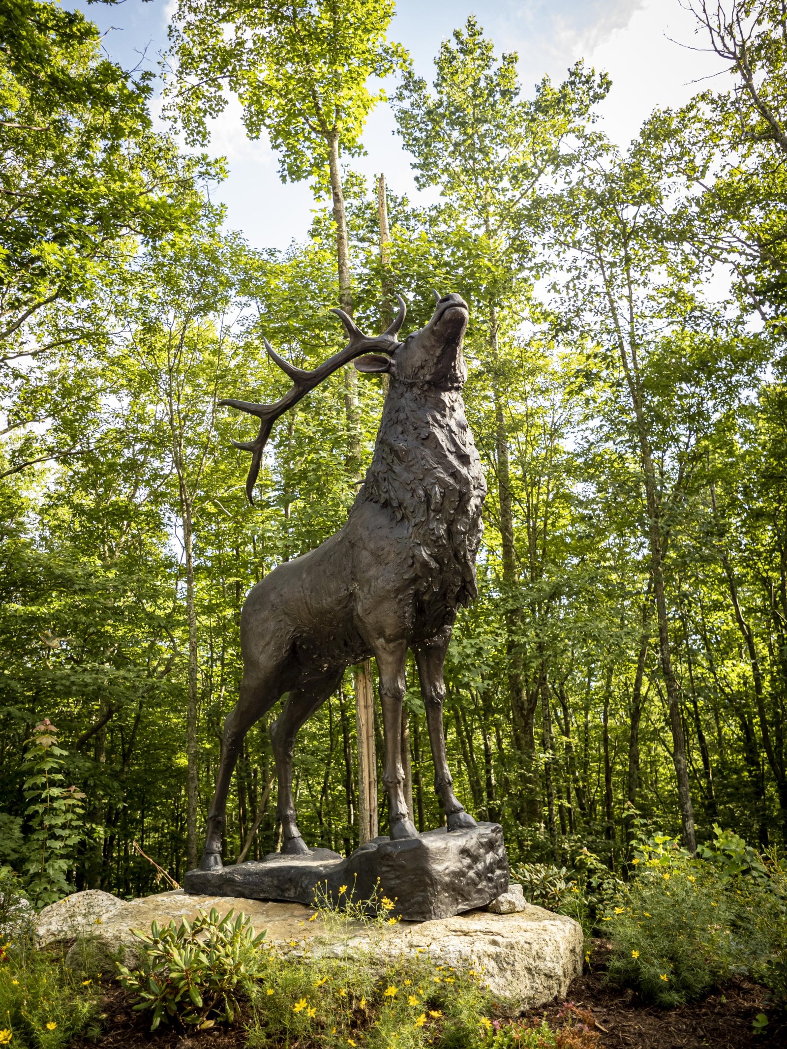 Deer on Base