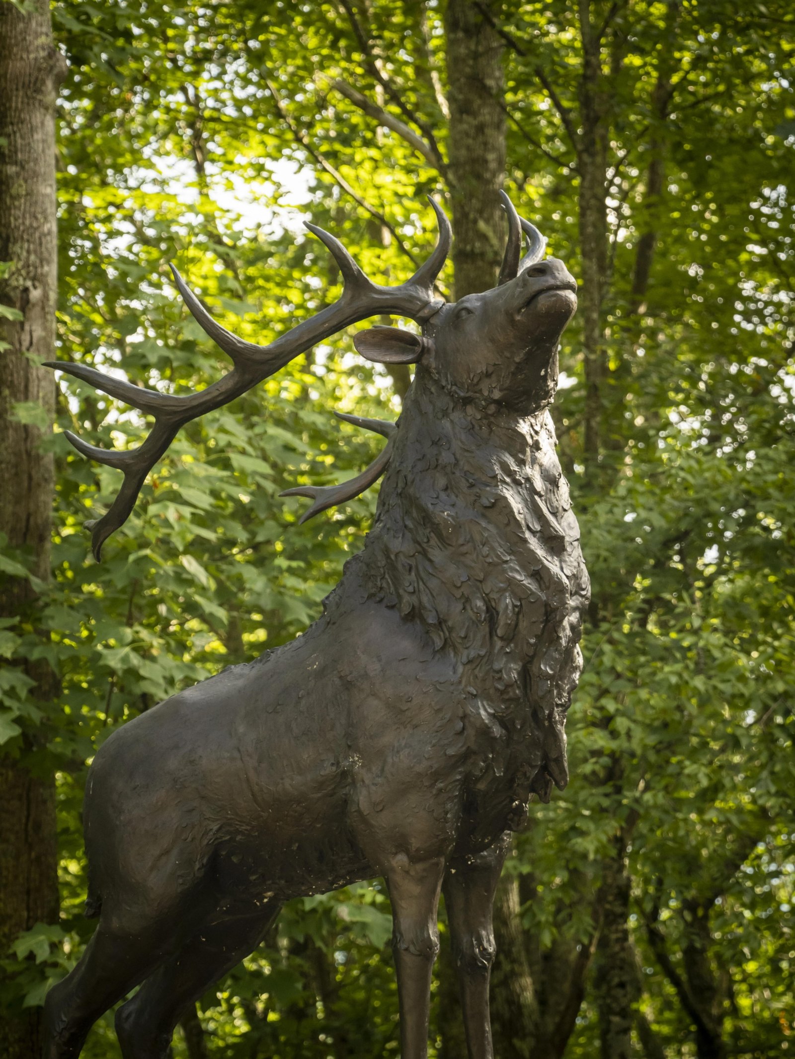 Deer on Base - Image 3