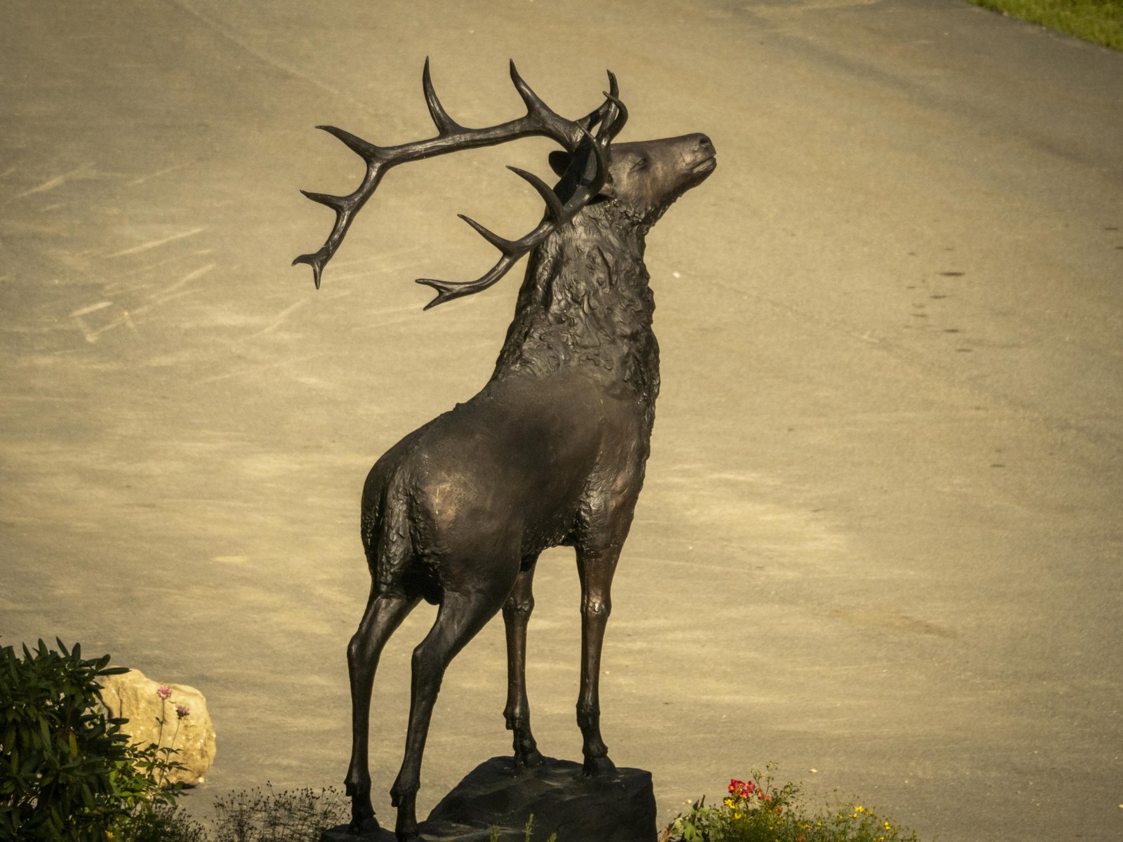 Deer on Base - Image 4
