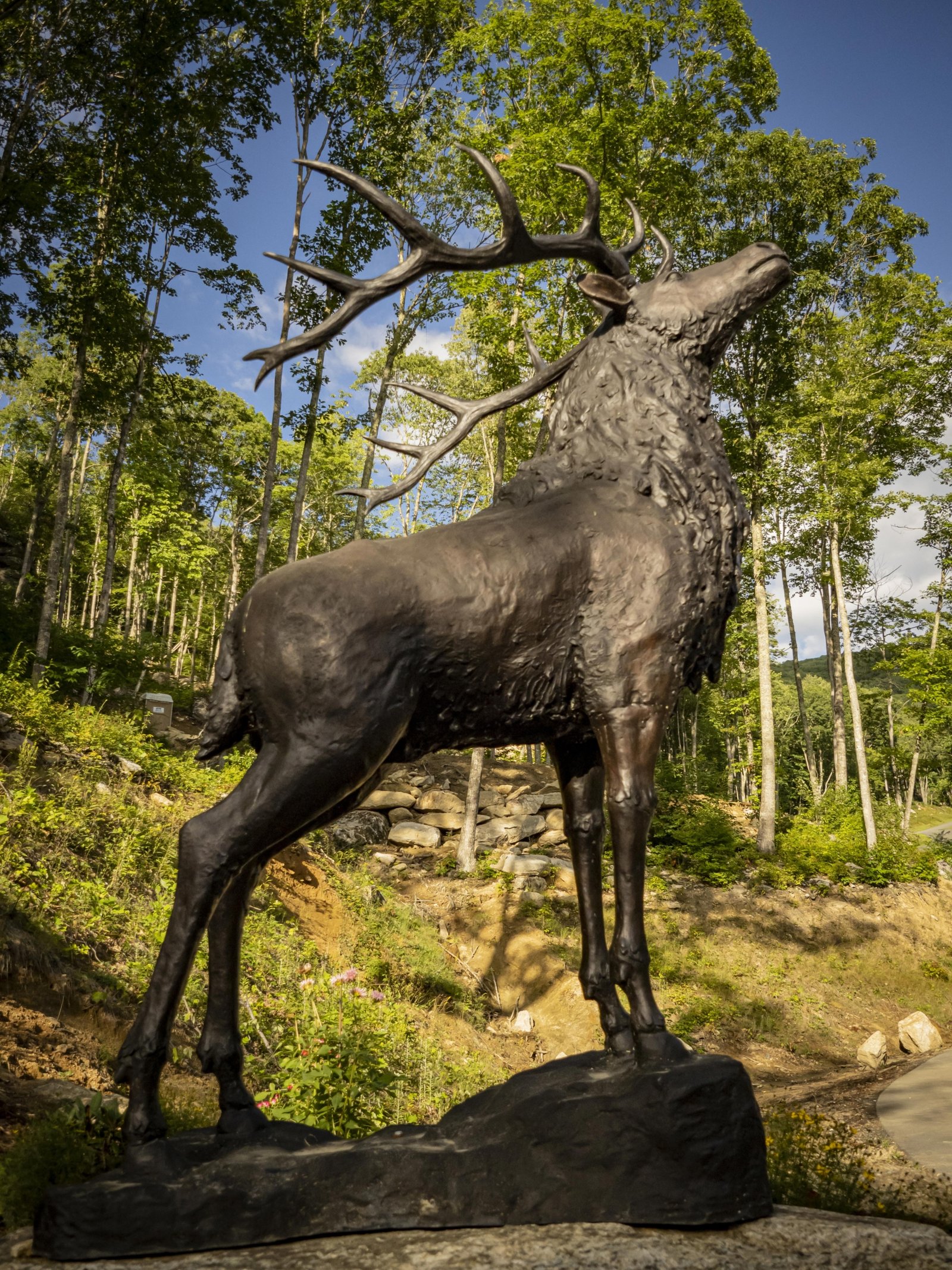Deer on Base - Image 5