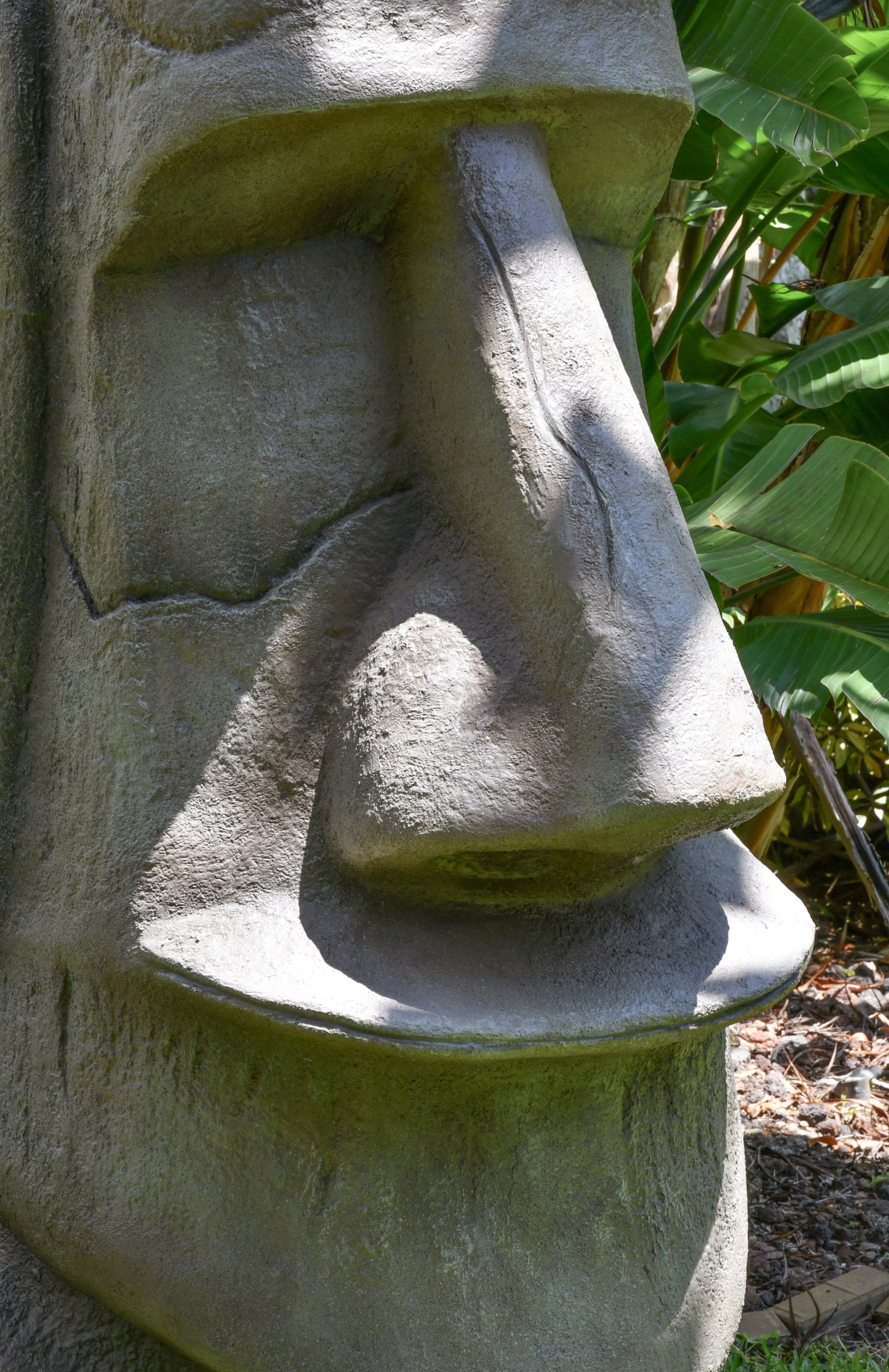 Easter Island Head - Image 5