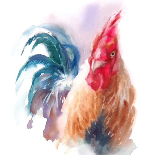Rooster Watercolor 36x48 Gallery Wrapped Hand Embellished Giclee Canvas