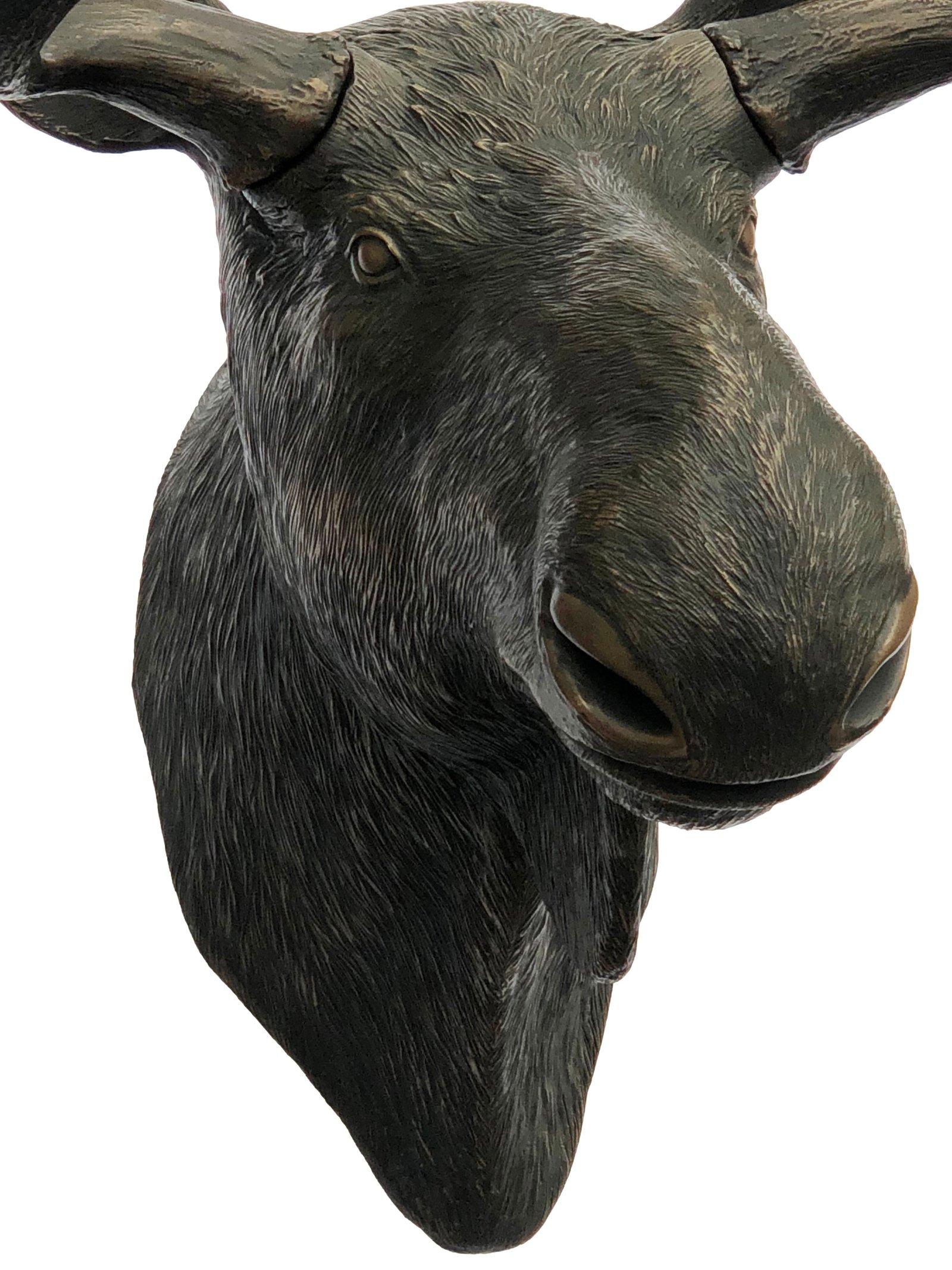 Imperial Moose Head Wall D?cor
