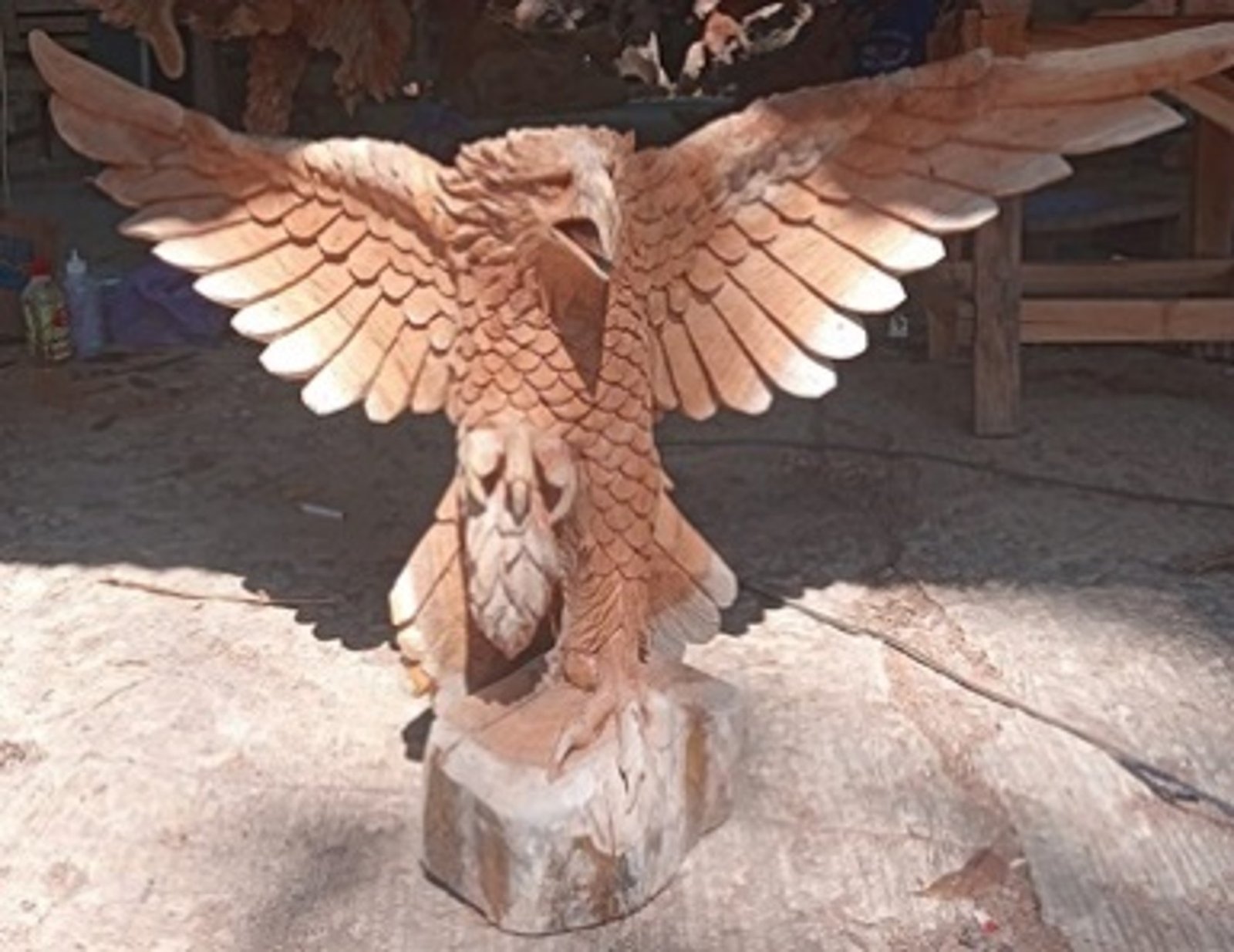 Teak Eagle