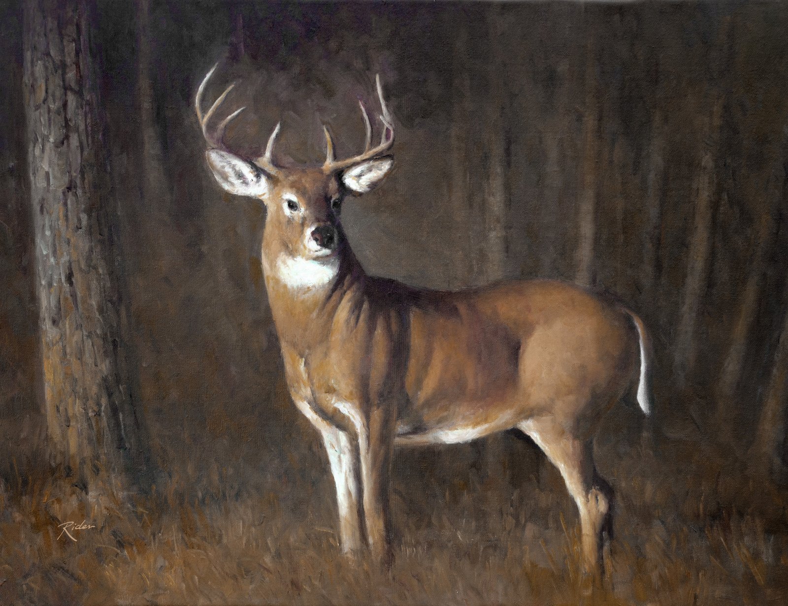 Deer in a Pine Forest 36x48 Gallery Wrapped Hand Embellished Giclee Canvas