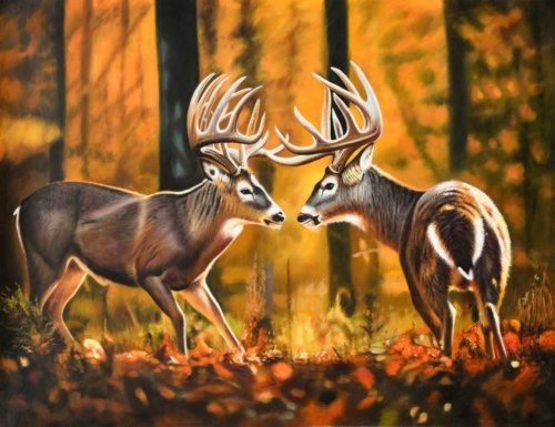 Pair of Stags Giclee