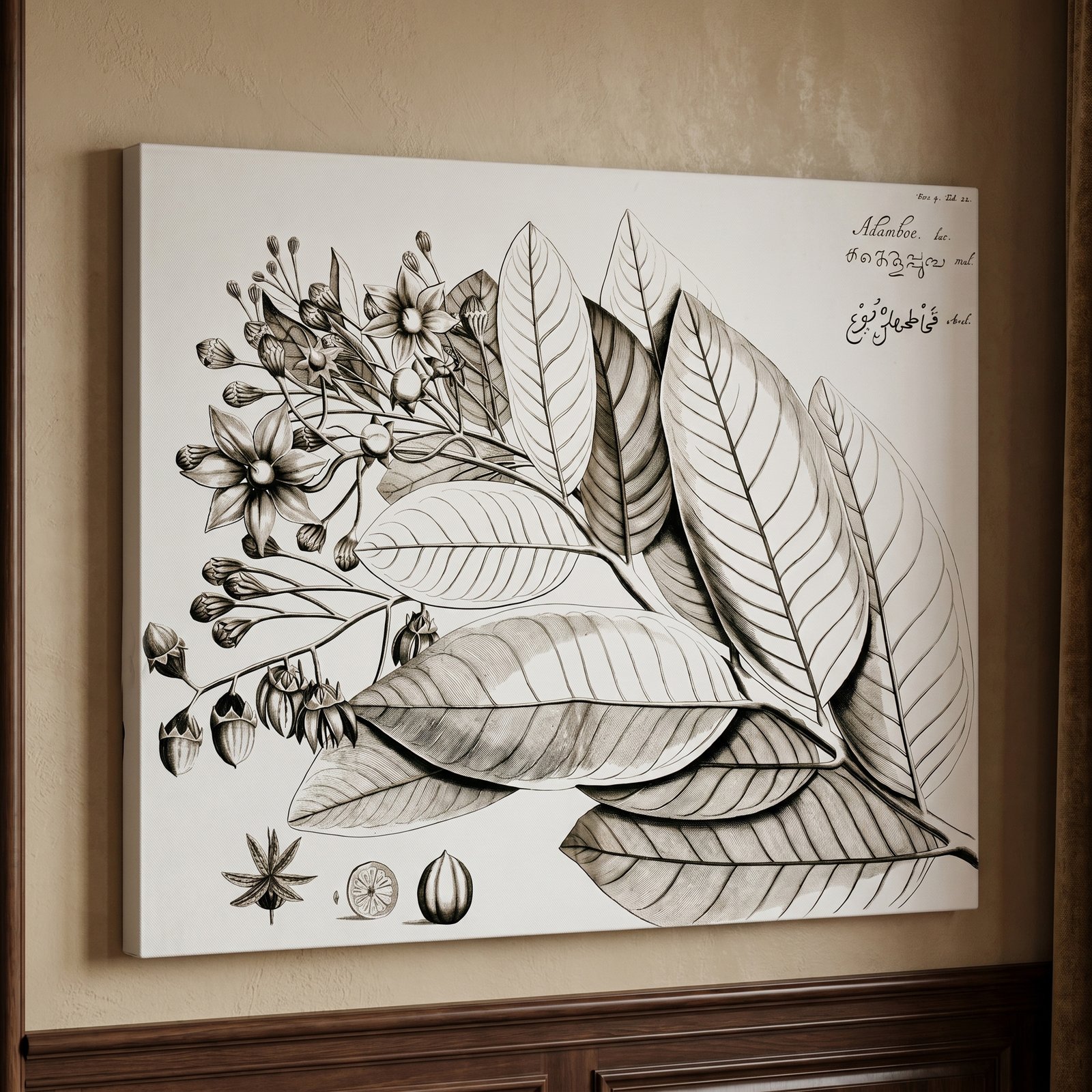Vintage Botanical II 36x48 Gallery Wrapped Hand Embellished Giclee Canvas - Image 2