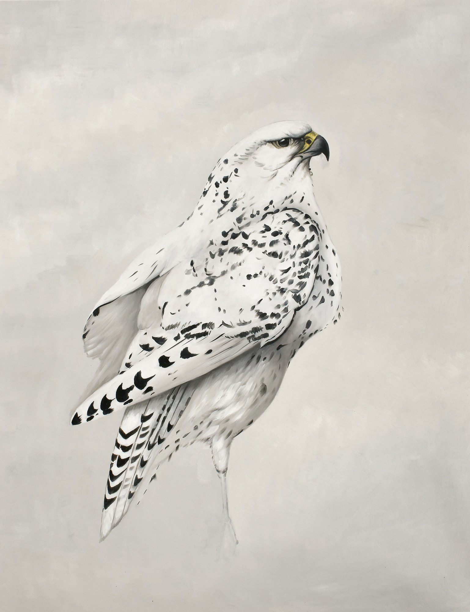 Winter Falcon 36x48 Gallery Wrapped Hand Embellished Giclee Canvas - Image 3