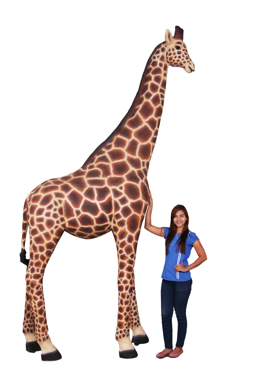 Giraffe 12 ft Close Up Image