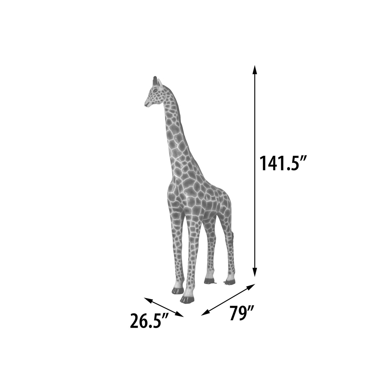 10826789DREL.jpg