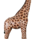 Giraffe 12 ft