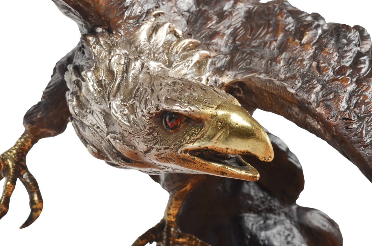 Swooping Bronze Eagle in Full Flight 38 Inch Wide Close Up Image