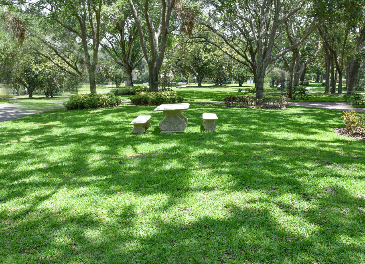11044244E.jpg