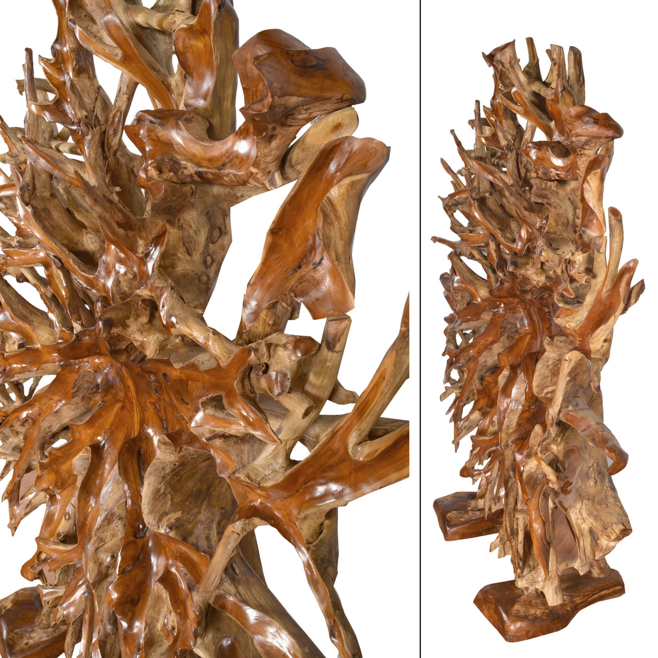 Teak Root Architectural Piece with Stand  B Close Up Image