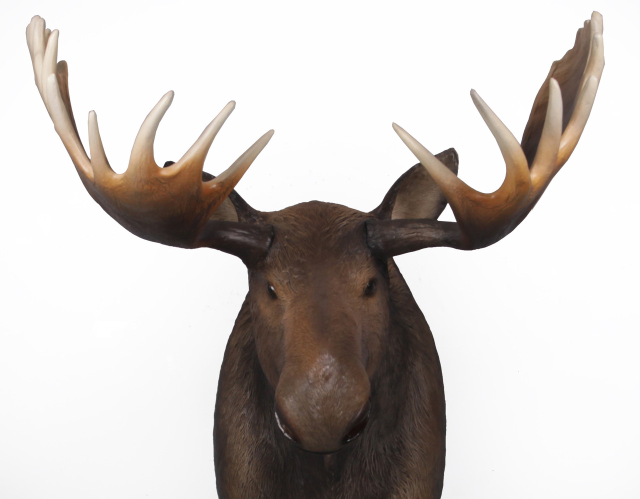 Moose Room Scene