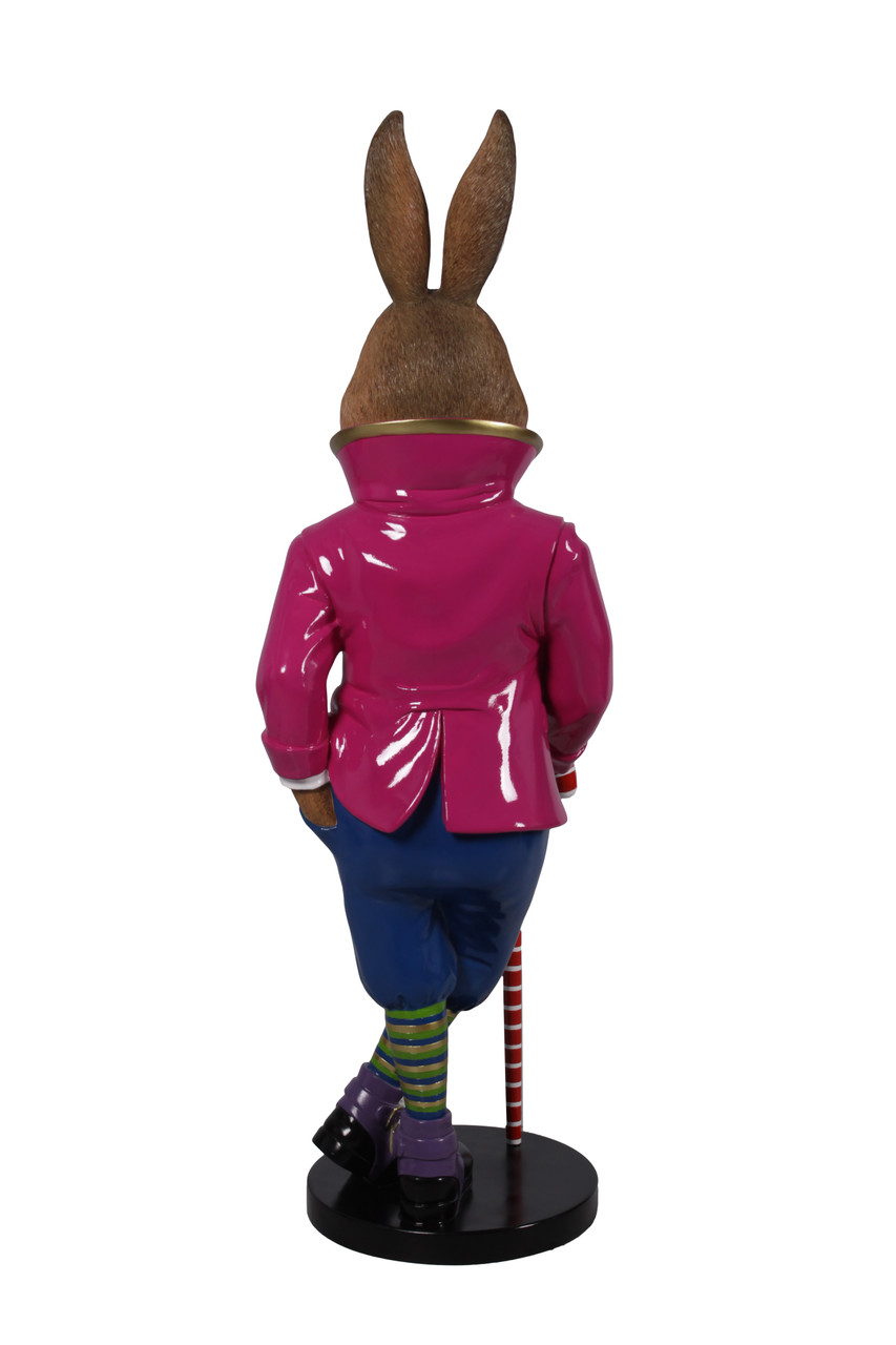 Jack the Rabbit Close Up Image