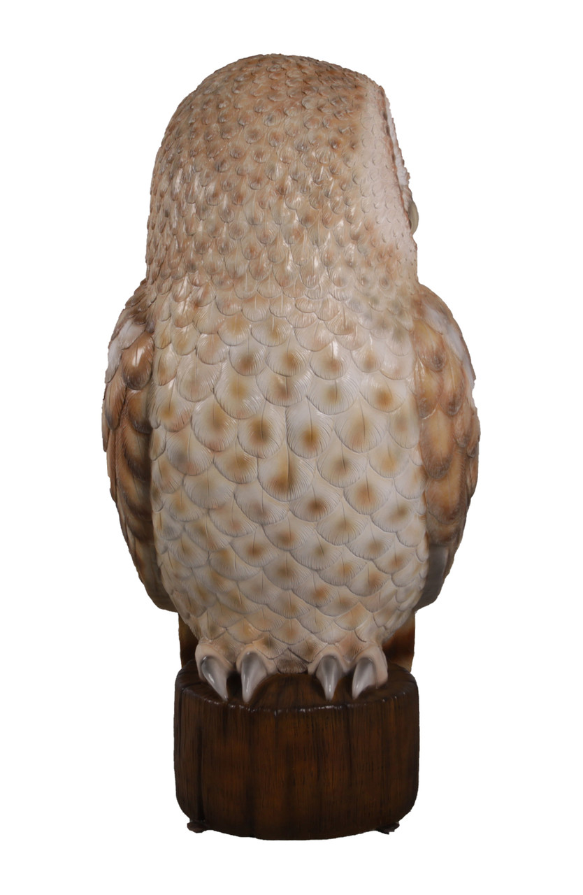 Tawny Owl 5ft Room Scene