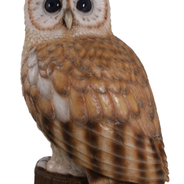 Tawny Owl 5ft