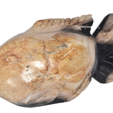 Mountain Studios Petrified Wood Fish 21 Inch Authentic Specimen