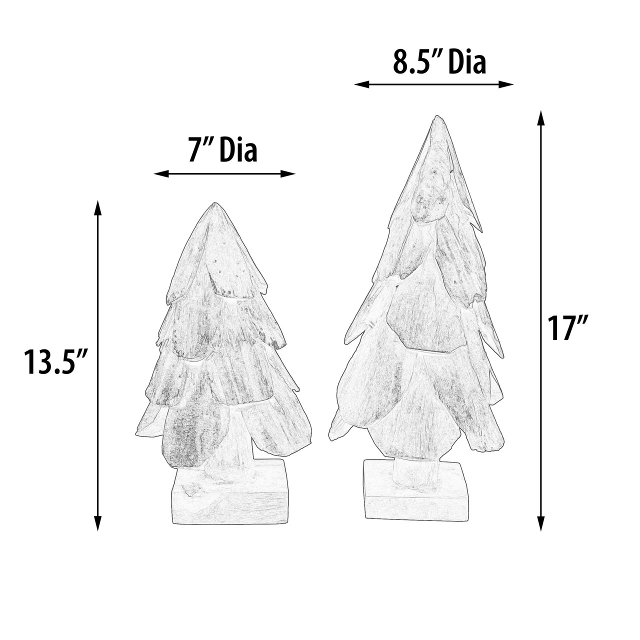 12019571DREL.jpg