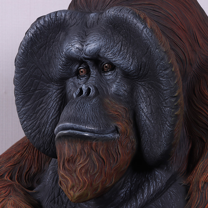 Sitting Orangutan Room Scene