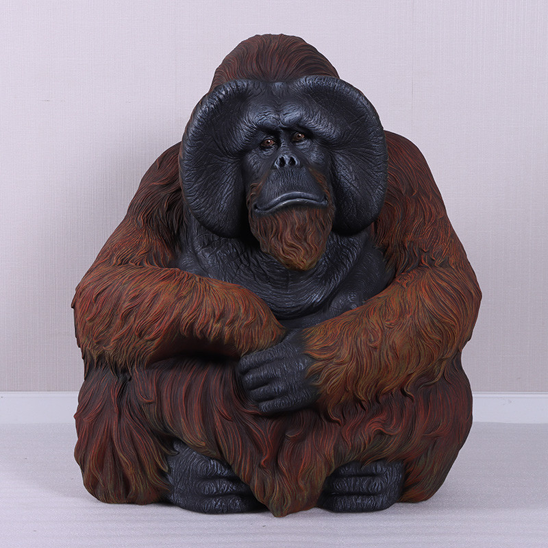 Sitting Orangutan Close Up Image