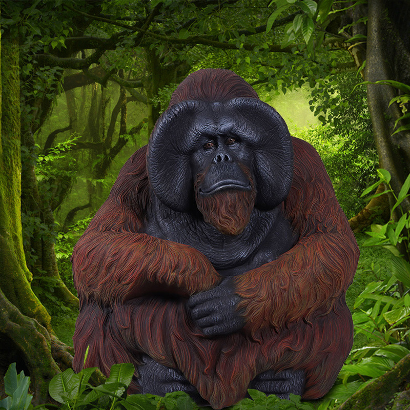 Sitting Orangutan