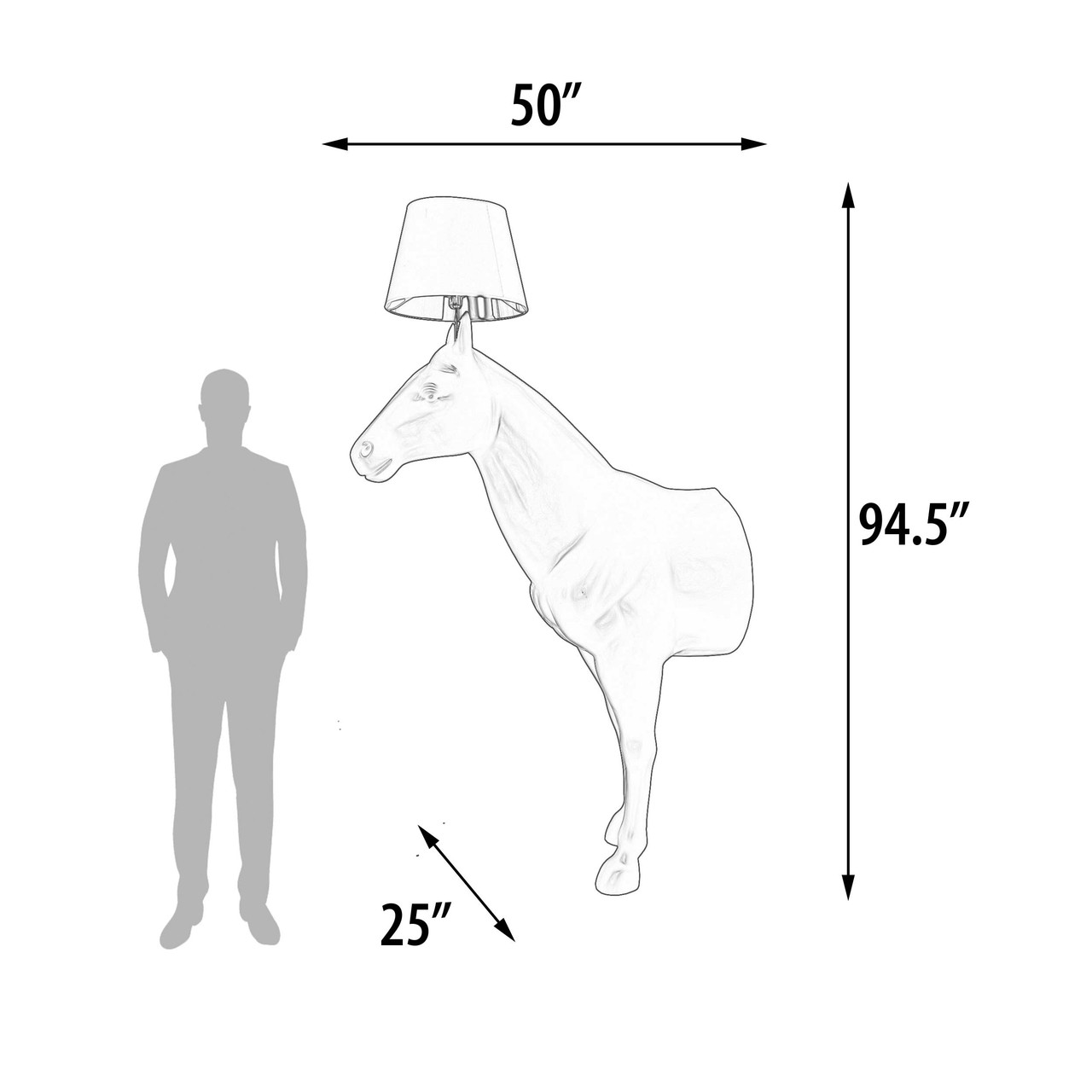 Image D
