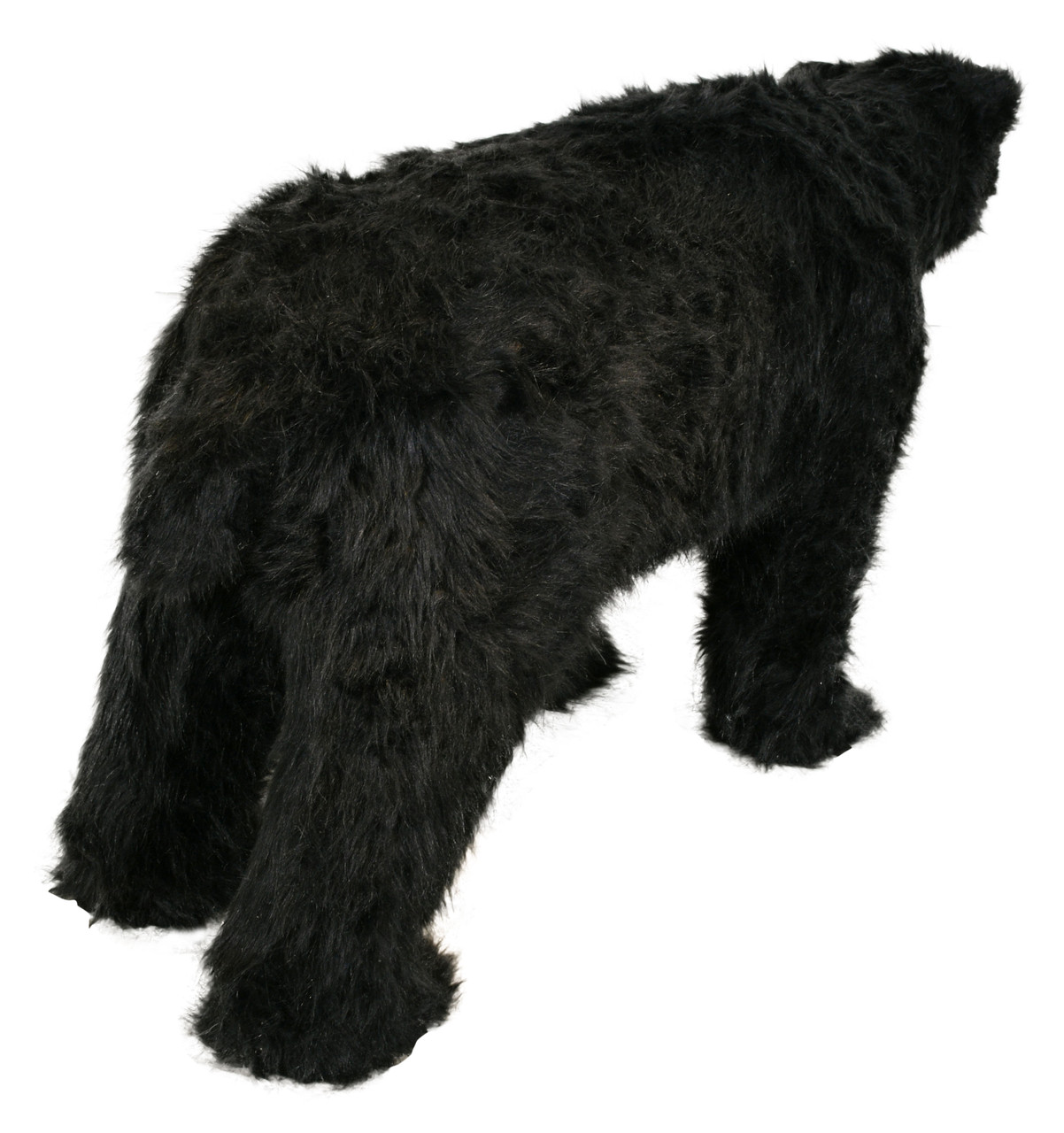 North American Black Bear Walking Statue with Faux Fur 59L Close Up Image