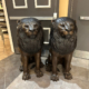 Lion-Set of 2