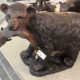 Bronze Bear with fish Room Scene