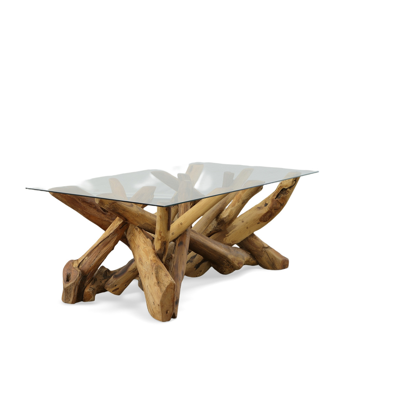 Natural Teak Root Branch Coffee Table with Glass Room Scene
