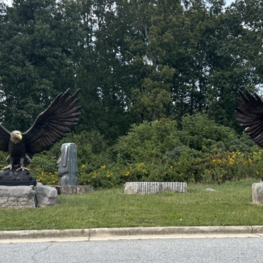 144 inch Wing Span Pair of Bronze Eagles