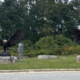 144 inch Wing Span Pair of Bronze Eagles