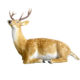 Spotted Faux Fur Sitting Deer