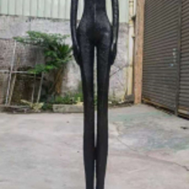 Proud Standing Figure