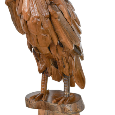 Teak Owl
