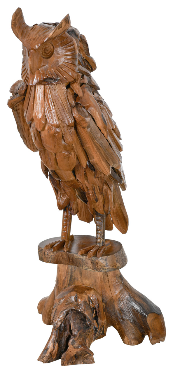Teak Owl