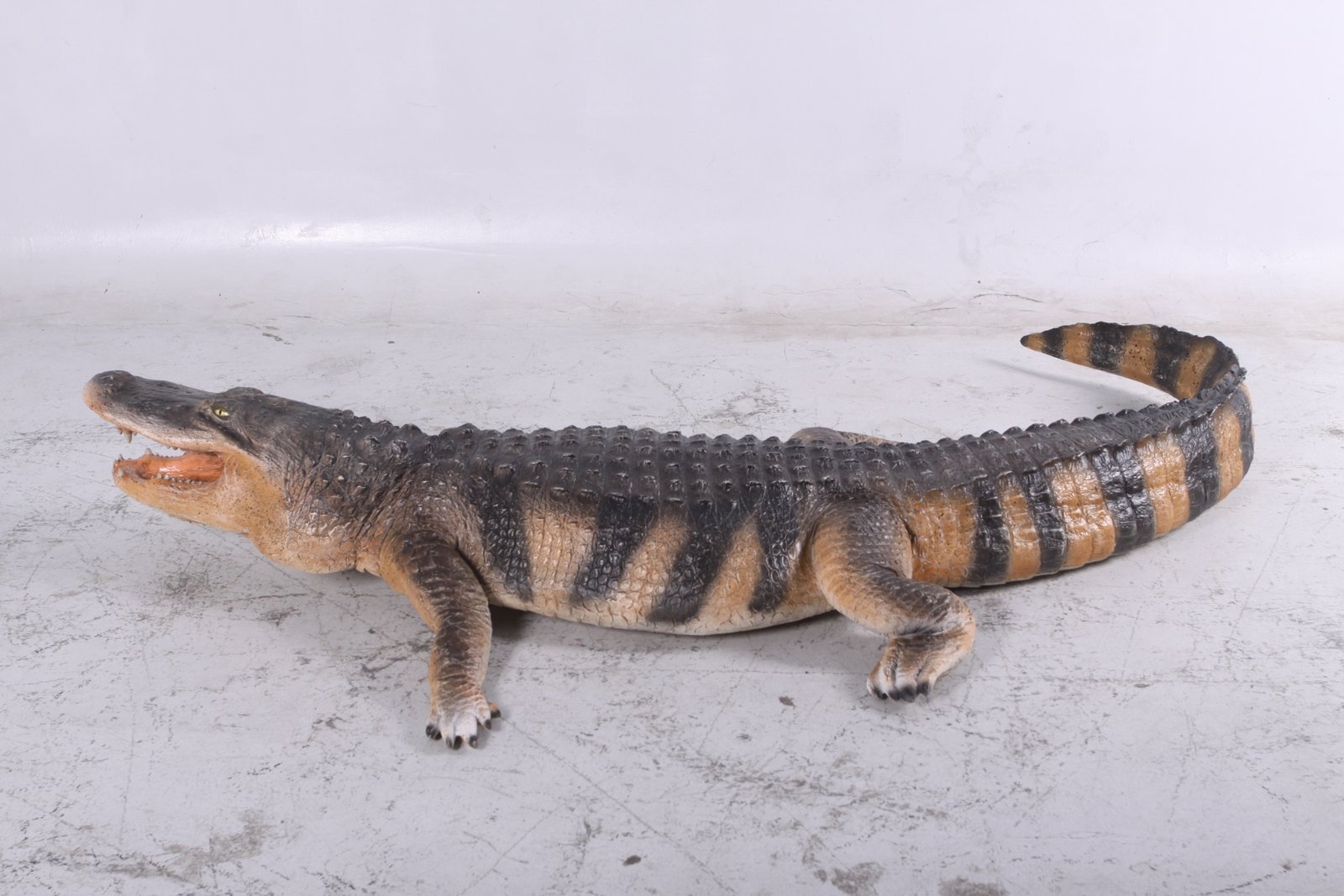 Lifesize American Alligator 94.75 Inch Long - Image 2