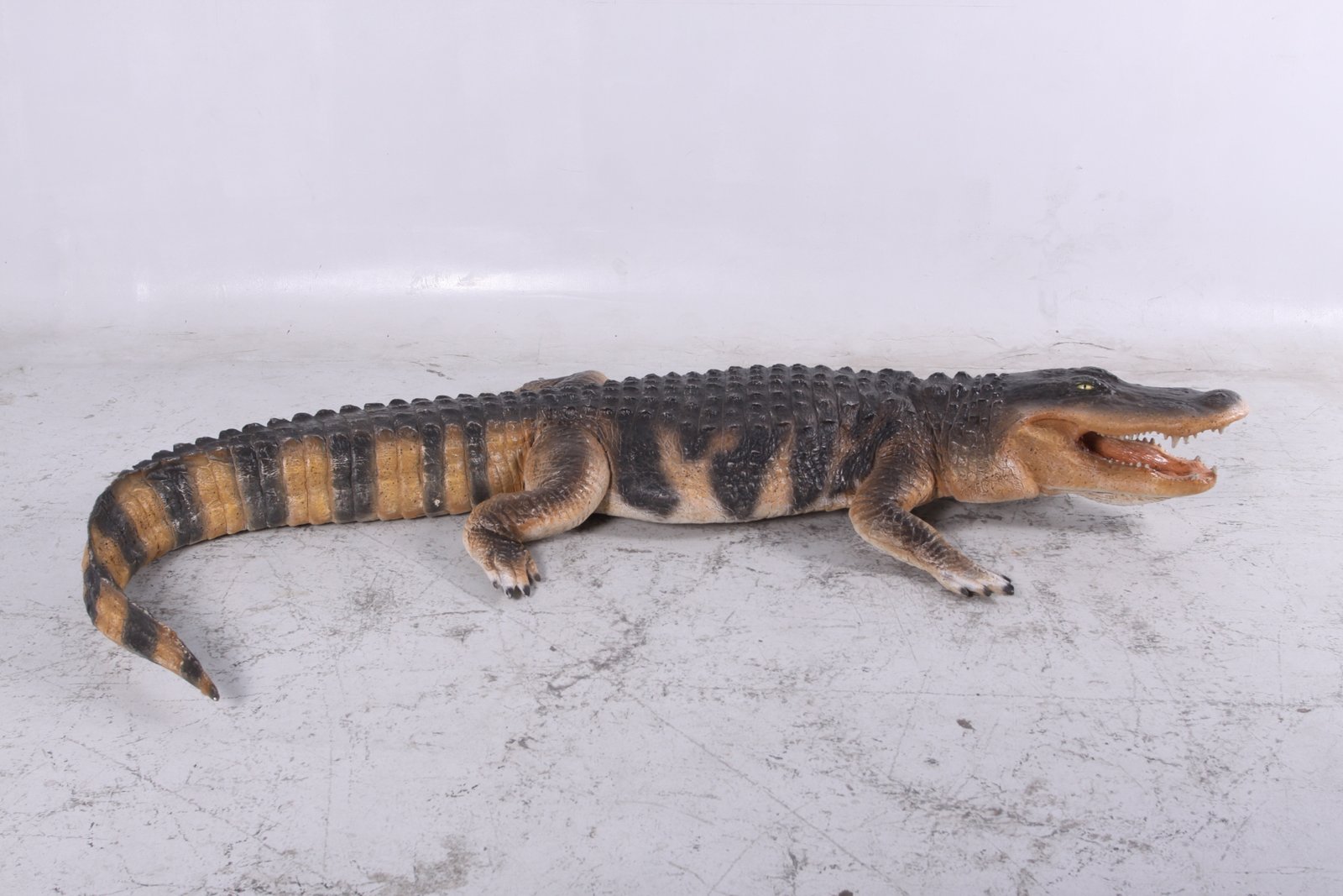 Lifesize American Alligator 94.75 Inch Long - Image 3