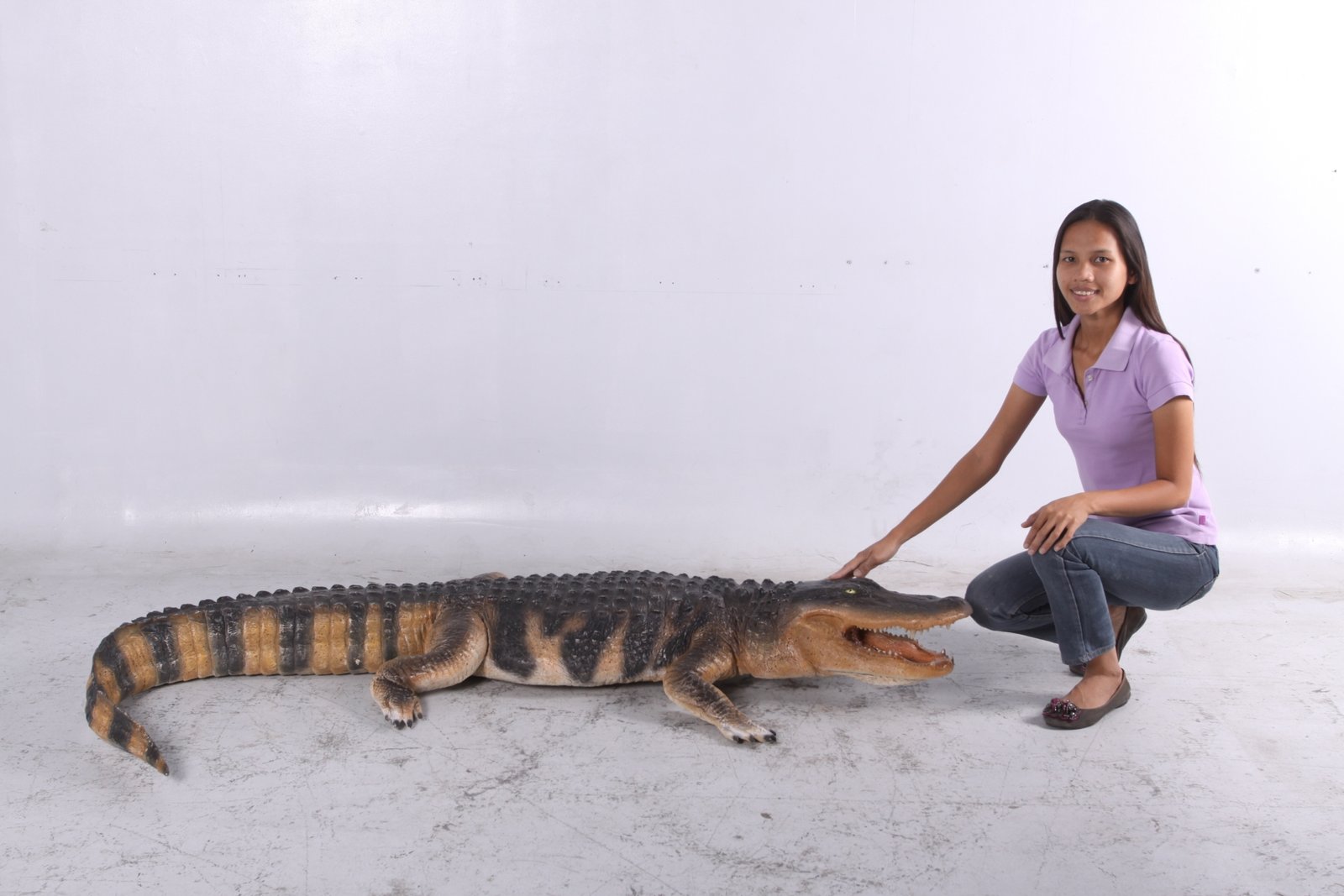 Lifesize American Alligator 94.75 Inch Long - Image 4