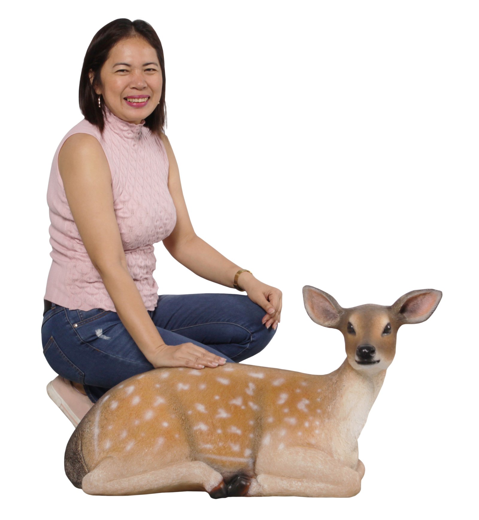 Fallow Deer Fawn Lying Down - Image 3