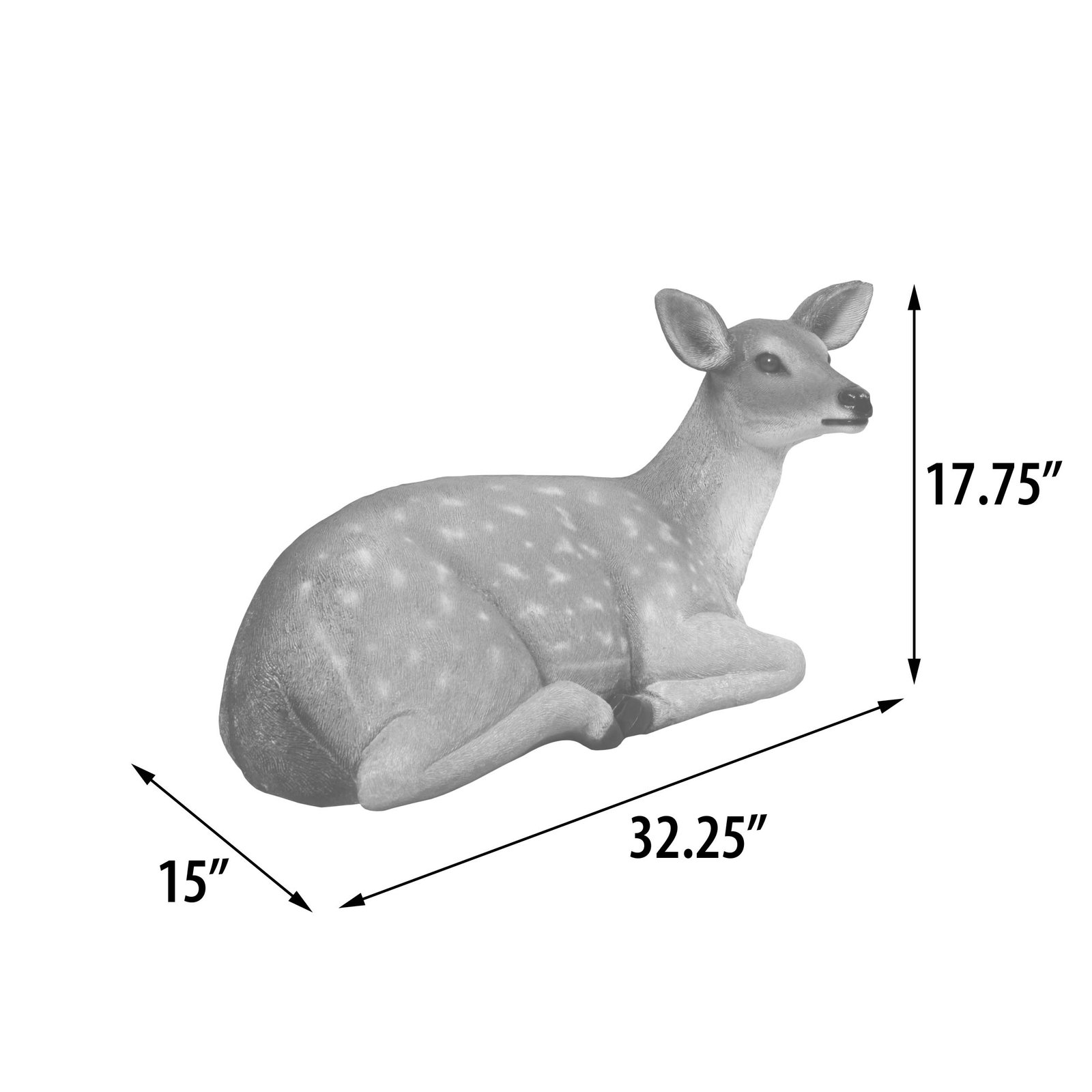 Fallow Deer Fawn Lying Down - Image 5