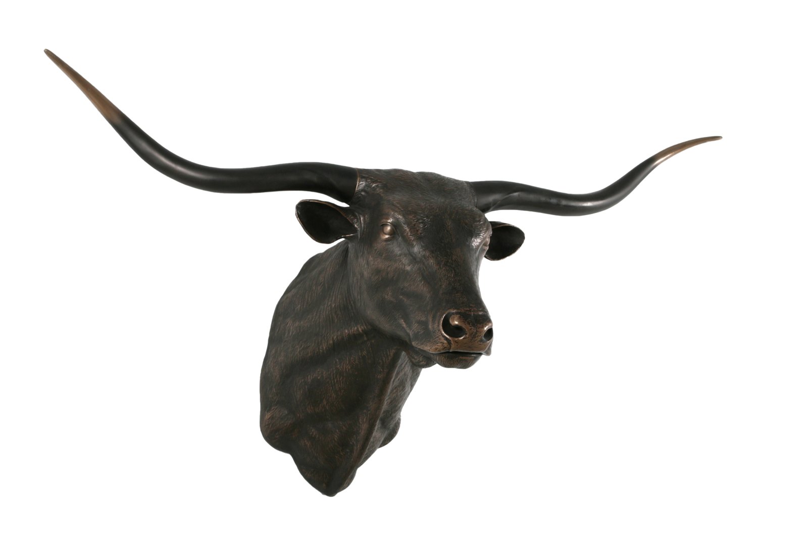Imperial Texas Long Horn - Image 2